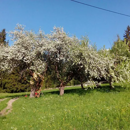 Silzerhof * Haiming
